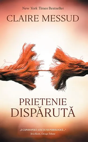 Prietenie disparută - Paperback brosat - Claire Messud