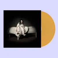 When We All Fall Asleep, Where Do We Go? - Vinyl