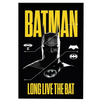 Magnet Standard DC Comics - Batman