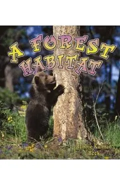 A Forest Habitat