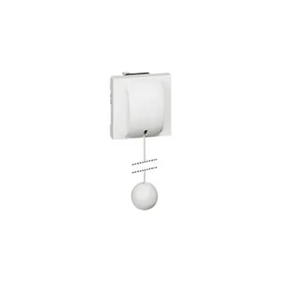 2-way pull-cord switch Mosaic - 10 AX 230 V~ - up to 2300 W- 2 module -alb