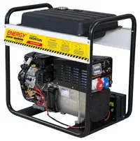 Generator de sudura 8.8 kW, 300 TWE - Energy