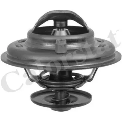Termostat, lichid racire CALORSTAT by Vernet TH5902.87J
