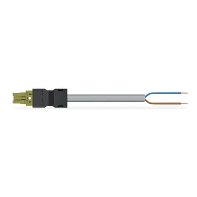 pre-assembled connecting cable; B2ca; Socket/open-ended; 2-pole; Cod. B; 2 m; 1,00 mm²; light green