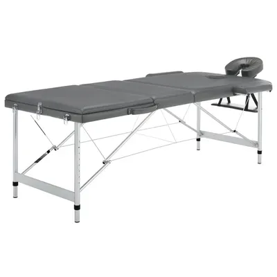 vidaXL Masă de masaj cu 3 zone, cadru aluminiu, antracit, 186 x 68 cm