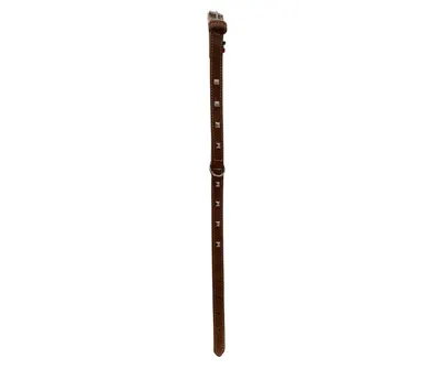 Zgarda din piele, maro, rezistenta, cu tinte, 2 cm x 55 cm