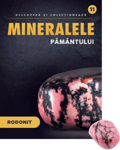 Rodonit. Volumul 11. Mineralele Pamantului
