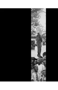 Without Sanctuary: Lynching Photography in America
