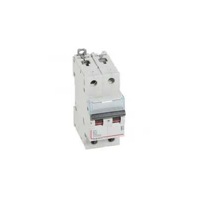 Siguranta automata 10000 - 16 kA - 2P - 230/400 V~ - 2 A - B curba