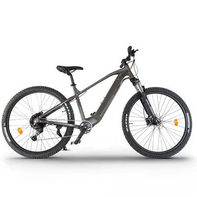UB300B | E-Bike de munte | Până la 140 km | Gri | 29"