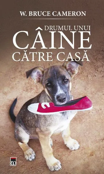 Drumul unui câine către casă (Vol. 2) - Paperback brosat - W. Bruce Cameron