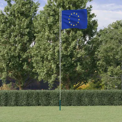 vidaXL Steag Europei și stâlp din aluminiu, 6,08 m