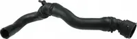 Furtun radiator superior (31mm 31mm) potrivit SEAT LEON, TOLEDO II; SKODA OCTAVIA I; VW GOLF IV 1.4 1.6 09.96-06.06