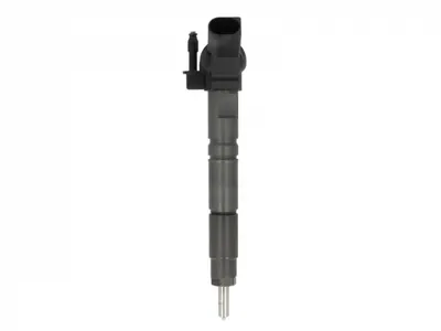 Injector Common Rail Mercedes C T-Model (s203), C T-Model (s204), C (w203), C (w204), Clk (a209), Clk (c209), Cls (c219), E T-Model (s211), E (w211), G (w461), G (w463), Gl (x164) 3.0d Dupa 2005