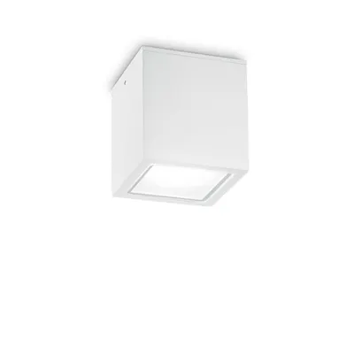 Corp de iluminat decorativ pentru exterior TECHO PL1 BIG BIANCO