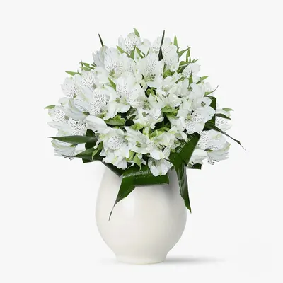 Buchet de 11 alstroemeria albe