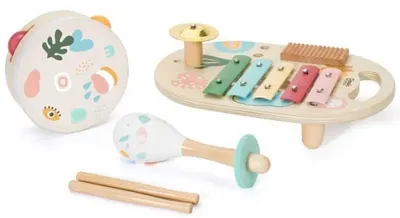 Set de instrumente muzicale din lemn Classic World