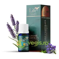 Ulei Esential Integral de Lavanda Camforata pentru Uz Intern 10ml