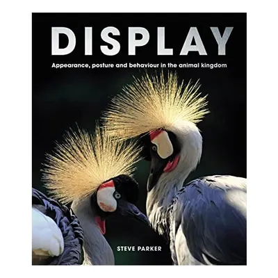 Display