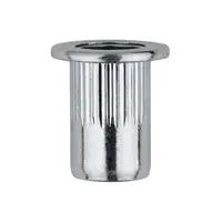 Piulite-nit Ingropate Cap Lat Otel-M 6 X 16.5