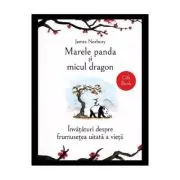 Marele panda si micul dragon