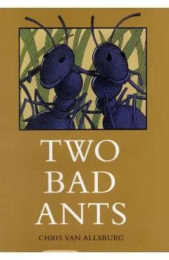 Two Bad Ants