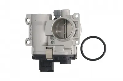 Clapeta Control Admisie Aer Renault Clio Iii, Fluence, Grand Scenic Ii, Grand Scenic Iii, Megane, Megane Ii, Megane Iii, Modus, Scenic Ii, Scenic Iii 1.4-1.6lpg Dupa 2002