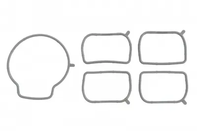 Set Garnituri Galerie Admisie Hyundai Grandeur, Ix35, Santa Fe Ii, Sonata V; Kia Cerato, Cerato Ii, Magentis, Optima, Sorento Ii, Sportage 2.0 2.4 Dupa 2005