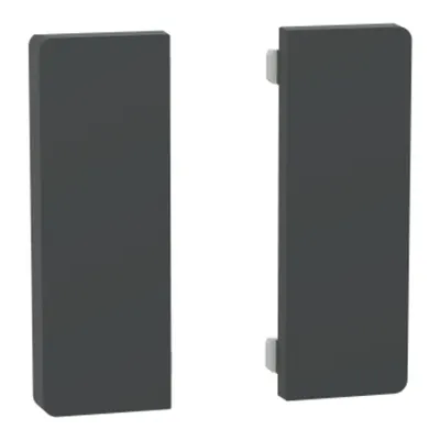 Set de 2 clapete 1/2 pentru Push buton KNX Dynamic Labeling System Design, antracit
