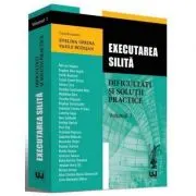 Executarea silita. Dificultati si solutii practice. Volumul I