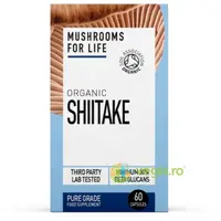 Shiitake Mushroom 800mg Full Spectrum Organic 60cps