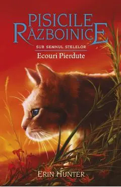 Pisicile razboinice Vol.20: Ecouri pierdute
