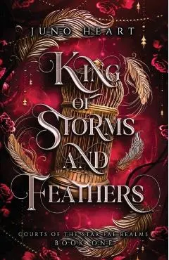 King of Storms and Feathers: A Fae Fantasy Bully Romance