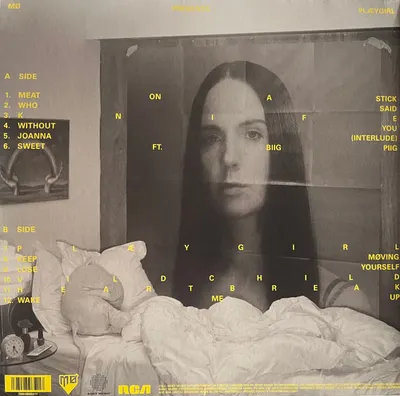 Plæygirl - Vinyl