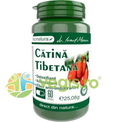 Catina Tibetana 60cps