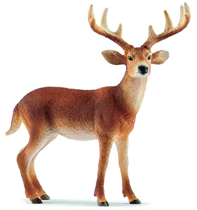 Figurina Schleich Wild Life America - Cerb cu coada alba