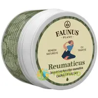 Crema Tip Balsam pentru Mobilitate Articulara Reumaticus 50ml