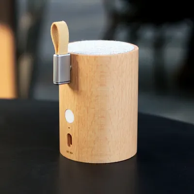 Boxă bluetooth Drum – Gingko