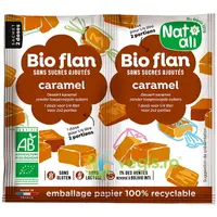 Budinca de Caramel Ecologica/Bio 2x5g