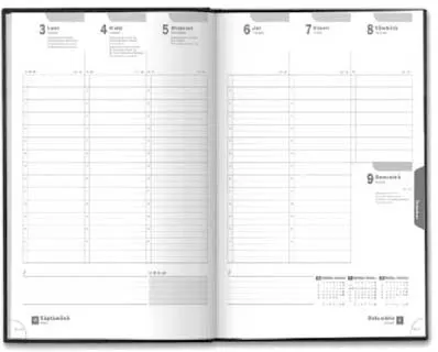 Agenda Brunnen "Business", Soft bordo