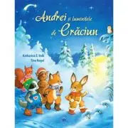 Andrei si luminitele de Craciun
