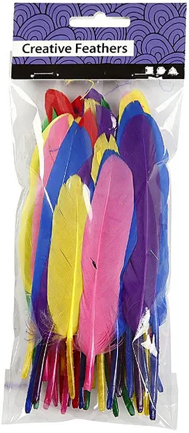 Pene pentru decorare Compania Creativ - 6 culori, 48 de buc