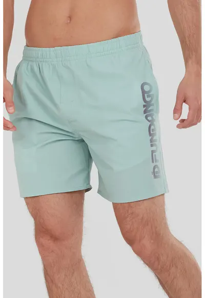 Pantaloni scurti de baie cu imprimeu logo Bono - Gri deschis/Verde pal