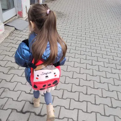 Ghiozdan personalizat Buburuza