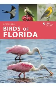Birds of Florida