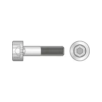 Surub Cap Mic Inbus 6912 Otel Gr.8.8-M16 X 160