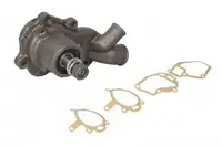Pompa apa potrivit MASSEY FERGUSON; PERKINS potrivit MASSEY FERGUSON 10, 100, 1000, 200, 2000, 30, 300, 3000, 400, 4000, 50, 500, 5000, 600, 6000, 8000, W 1004-4-P4001