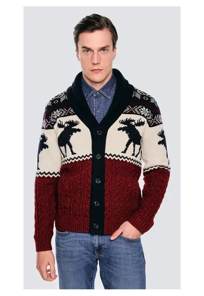 Cardigan cu model cu elani Lorenzo