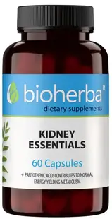 Kidney Essentials, 60 capsule, Bioherba