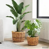vidaXL Coș pentru plante cu depozitare 2 buc. Maro Natural Ratan Kubu